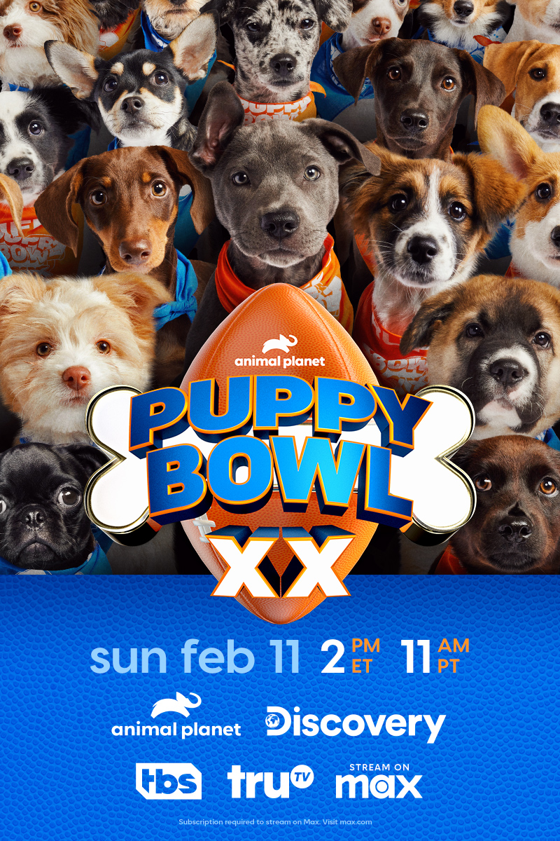 Photo of Puppy Bowl